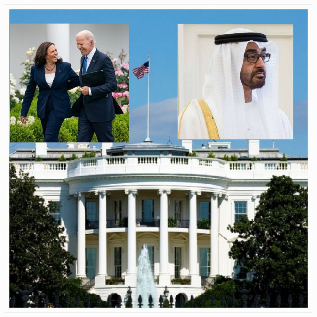 20240919 1754014466009023073160797