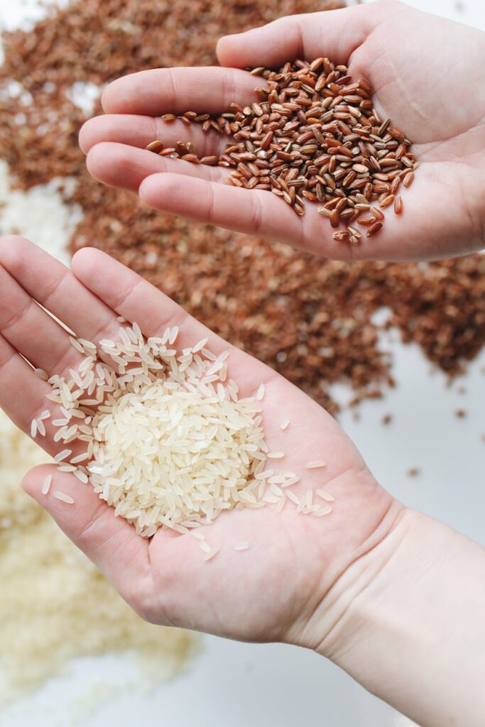 Promoting Non-Basmati Rice Exports: A Collaborative Effort by APEDA and IRRI 1 pexels photo 4110256