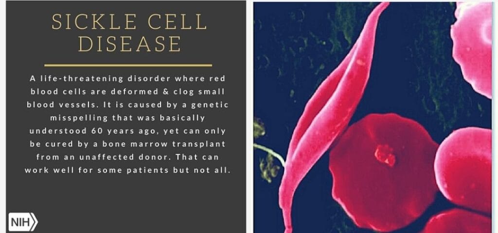 screenshot 20250628 220333 chrome7763355965888452228