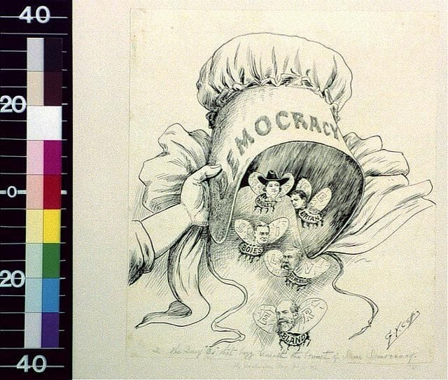 the busy bs what buzz beneath the bonnet of dame democracy 6406836441348877887142