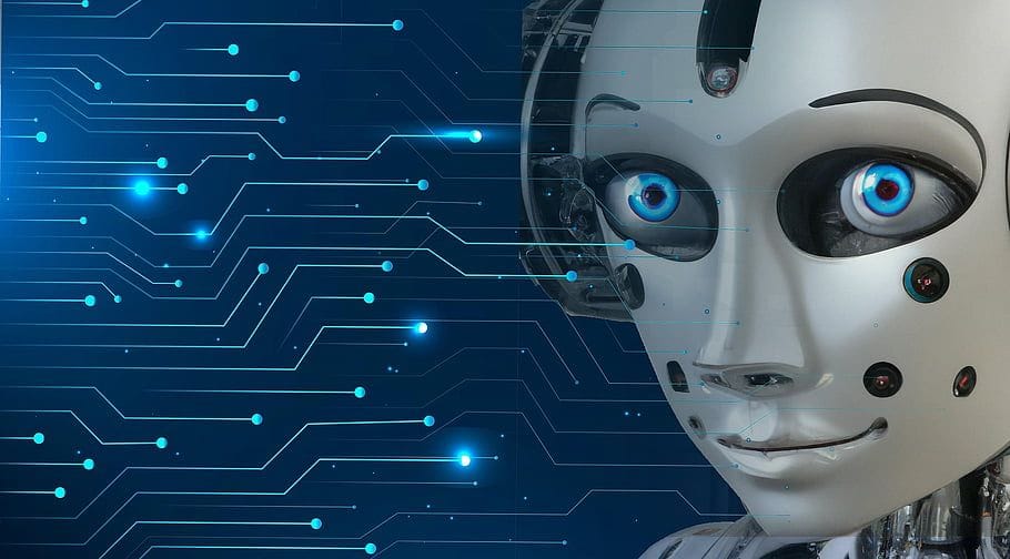 10004204429156608843545225006