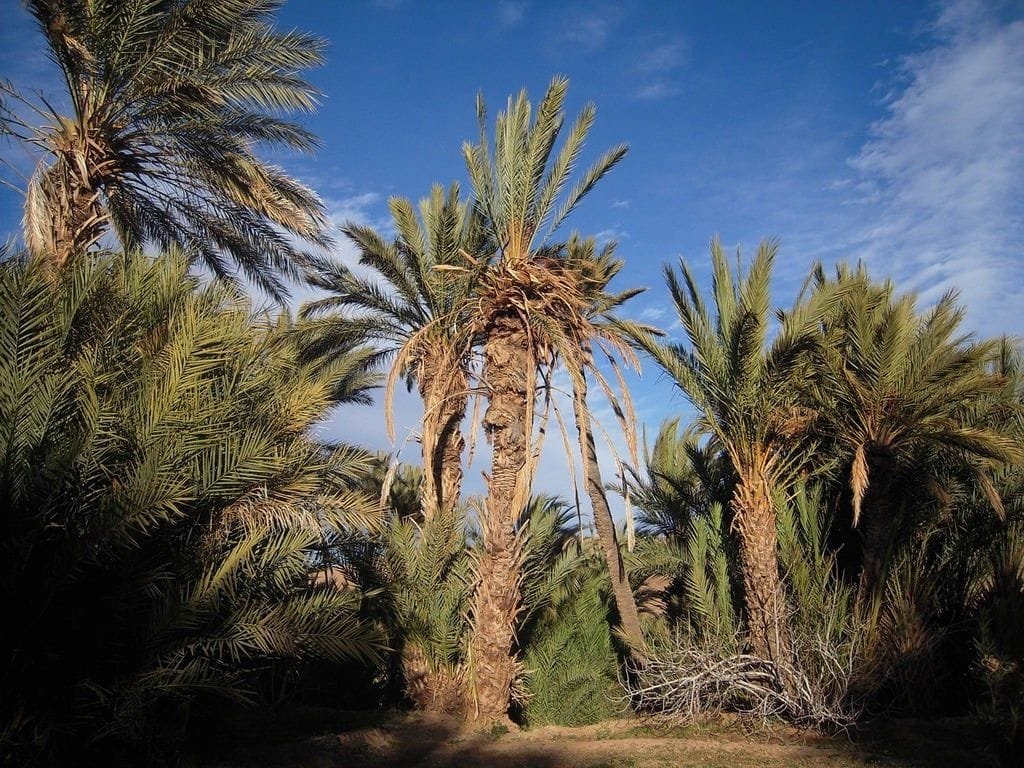 morocco sahara travel travel vacation 34fc82 10244815732201693188585