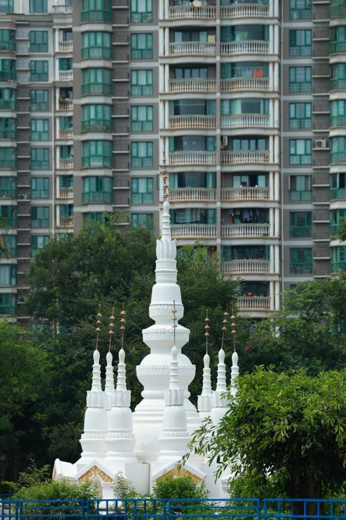 pexels photo 33022115