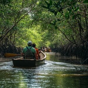 stockcake-mangrove canoe adventure_1753504681657796247675877569.